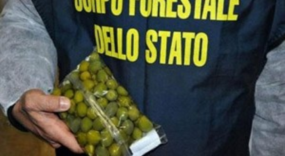 Avrupa`da Gıda Operasyonu