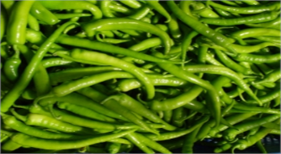 İstanbul`da Zam Şampiyonu Sivri Biber