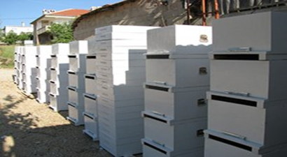 Samsun Büyükşehir Belediyesi Arı Kovanı ve Tohum Dağıttı