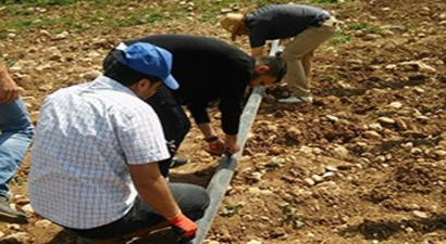 Kahta Meslek Yüksek Okulunda Çilek Demonstrasyon Uygulama Alanı Kuruldu