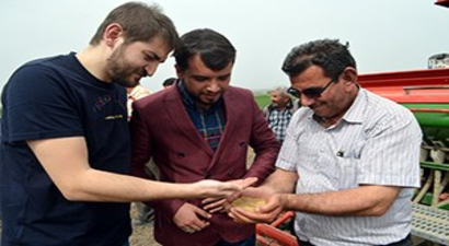 Çorum Çiftçisi Alternatif Üründe Yeni Bir Çeşitle Tanışıyor