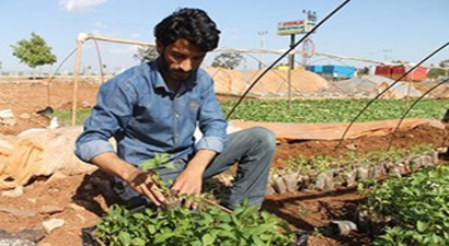 Bir Çok Aile Geçimini Fidecilikle Sağlıyor!