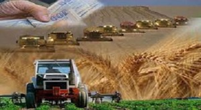 Ladik`e Kırsal Kalkınma Desteği