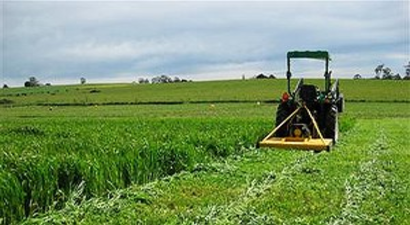 Muğla`da Tarla Günü Etkinliği Düzenlendi