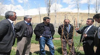 Otlukbeli`de Organik Elma Projesi