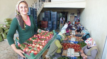 Silifke Nektarin Ve Şeftalide De İddialı
