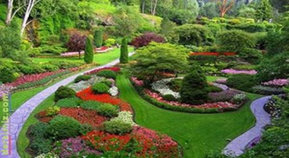 Süs Bitkileri Sektörünün Hedefi 2023`de 500 Milyon Dolarlık İhracat