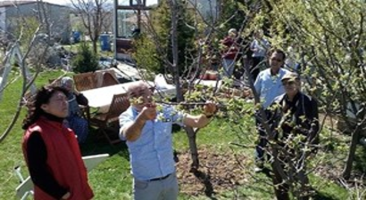 Tepebaşı`nda Meyve Ağaçları ve Üzüm Bağları Budandı