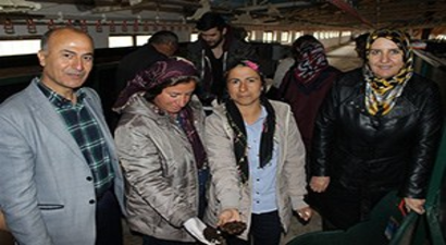 Tutlu Kadın Çiftçiler Solucan Gübresi Üretiyor