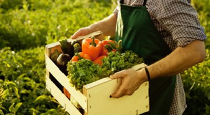 Üniversite Bahçesinde Organik Tarım