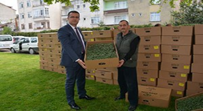 Üreticilere Sera Naylonu Dağıtıldı