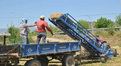 Yonca Üretimi Çiftçiyi Memnun Ediyor