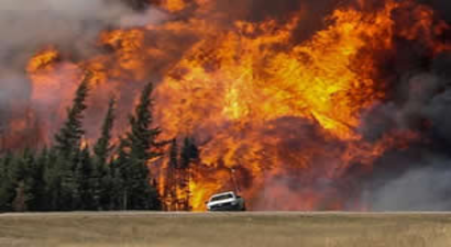 Kanada`da 200 Bin Hektarlık Alan Kül Oldu