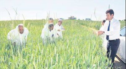 Ankara`da Süneyle Mücadele Hızlandı