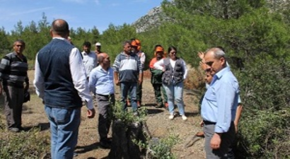 Aydın ve Muğla`da 75 Bin Delice Aşılanıyor