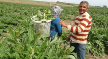 Bir Zamanlar Tonla Alınıp Satılan Enginarın Faydası Anlaşılınca Değeri Arttı