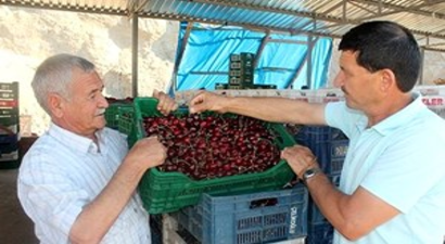 Demirci Kirazı Patent Aldı