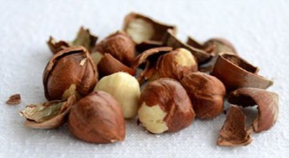 Fındıkta Korkutan Tahmin