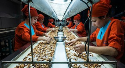 Fındıkta Üretici Tanımı Yapılmalı