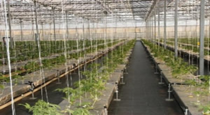 Tarım Bakan Yardımcısı İskeçe`deki Jeotermal Serayı Gezdi