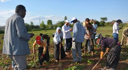 Orta Darfur Eyaleti Çankırı`da Çiftçiliği Öğreniyor