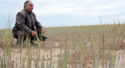 Kuraklık Aksaray`ı Vurdu