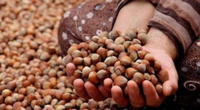 Üreticilerin Gözü Kulağı Destek Ödemesinde