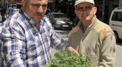 Yalovalı Çiftçilere 50 Bin Karpuz Fidesi Dağıtılacak