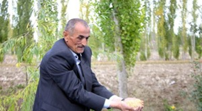 5 Bin Yıllık Yerli Tohumu Kendi Üretti