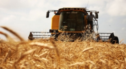 Çiftçilere Hasatta Kayıp Uyarısı