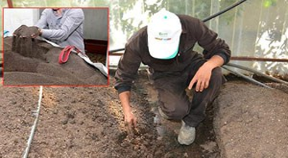 Atıklarla Beslediği Solucanlardan Organik Gübre Üretiyor