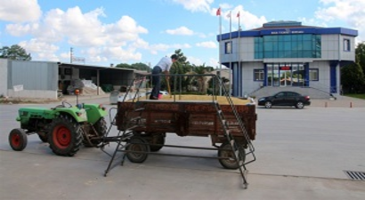 Biga`da Sezonun İlk Mahsulü Satıldı