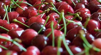 Bin 320 Nüfuslu Köyün Kiraz İhracatı Başladı