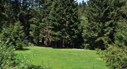 Fümigasyon Operatörlüğüne Yeni İstihdam