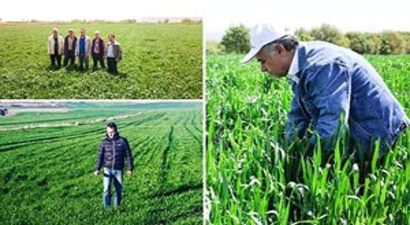 Bu Projeden Çiftçiler Karlı Çıktı