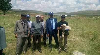 Çiftçiler, Yeni Hububatı İnceledi