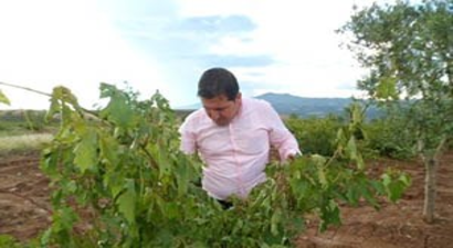 Dolu Yağışının Vurduğu Çiftçiler Destek Bekliyor