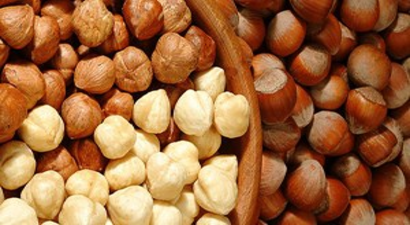 Fındık Üreticisinin Gözü Açıklanacak Rekoltede