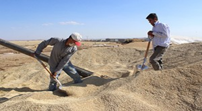 Hububatta Verim Yarı Yarıya Düştü