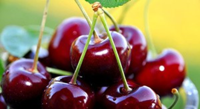 Kiraz İhracatı Yüzde 144 Arttı