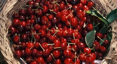 Konya Kiraz Üretiminde İkinci