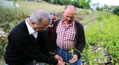 Mezitli Köylerini Dolu Vurdu