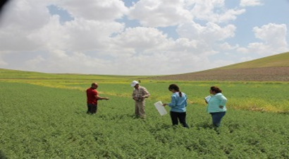 Yozgat`ta Mikrobiyal Gübre İle Ekimi Yapılan Nohut Tarlası İncelendi