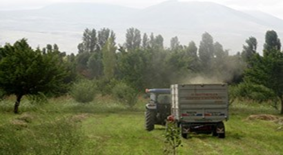 Muş`ta Ot Hasadı Erken Başladı