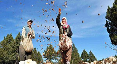 Orman Köylüsüne 1 Milyon Lira Kredi Desteği Verilecek