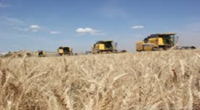 TİGEM BU Yıl Rekor Kırdı