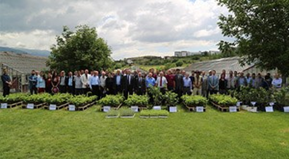 Tokat`ta Tıbbi Ve Aromatik Bitki Projesi