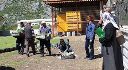 Üreticiye Mor İnci Desteği