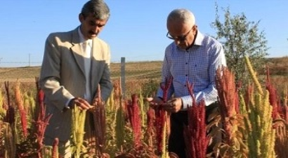 Tarımda Deneme Ekimi