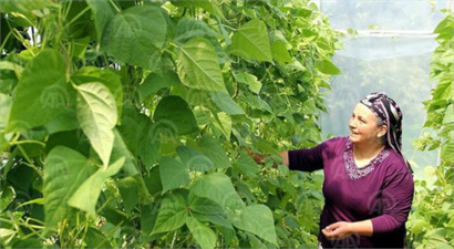 Seracılıkla Ekonomiye Katkıda Bulunacaklar